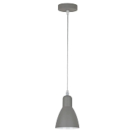 Подвесной светильник Arte Lamp Mercoled A5049SP-1GY - купить онлайн в интернет-магазине Люстра-Тут (Санкт-Петербург) недорого