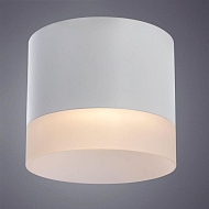 Потолочный светильник Arte Lamp Castor A5554PL-1WH Image 2