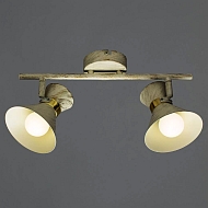 Спот Arte Lamp Baltimore A1406AP-2WG Image 3