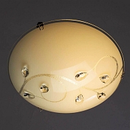 Потолочный светильник Arte Lamp A4040PL-1CC Image 2