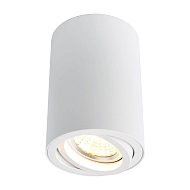 Потолочный светильник Arte Lamp A1560PL-1WH - купить онлайн в интернет-магазине Люстра-Тут (Санкт-Петербург) недорого