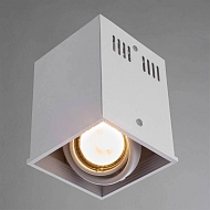 Потолочный светильник Arte Lamp Cardani A5942PL-1WH Image 2