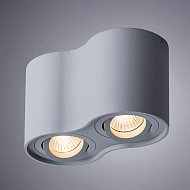 Потолочный светильник Arte Lamp Falcon A5645PL-2GY Image 1