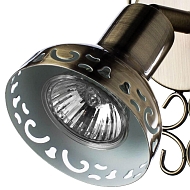 Спот Arte Lamp Focus A5219AP-1BR Image 1