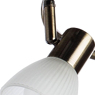 Спот Arte Lamp Parry A5062PL-3AB Image 1