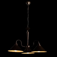 Подвесная люстра Arte Lamp Cone A9330LM-3BR Image 2