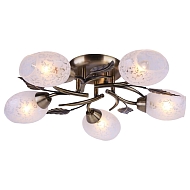 Потолочная люстра Arte Lamp Anetta A6157PL-5AB Image 3