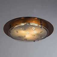 Потолочный светильник Arte Lamp A4043PL-3CC Image 2