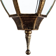 Уличный подвесной светильник Arte Lamp Pegasus A3151SO-1BN Image 3