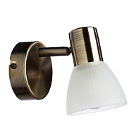 Спот Arte Lamp Parry A5062AP-1AB - купить онлайн в интернет-магазине Люстра-Тут (Санкт-Петербург) недорого