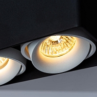 Потолочный светильник Arte Lamp Pictor A5654PL-2BK Image 3