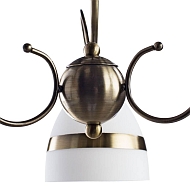 Потолочная люстра Arte Lamp 55 A6192PL-3AB Image 1