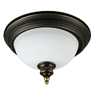 Потолочный светильник Arte Lamp Bonito A9518PL-2BA - купить онлайн в интернет-магазине Люстра-Тут (Санкт-Петербург) недорого