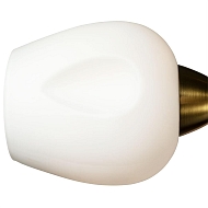 Потолочная люстра Arte Lamp Brighton A2706PL-5CK Image 1