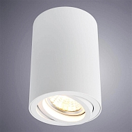 Потолочный светильник Arte Lamp A1560PL-1WH Image 1