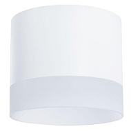 Потолочный светильник Arte Lamp Castor A5554PL-1WH Image 1