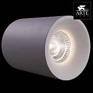 Потолочный светильник Arte Lamp Ugello A3112PL-1WH Image 2