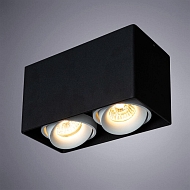 Потолочный светильник Arte Lamp Pictor A5654PL-2BK Image 2