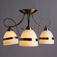 Потолочная люстра Arte Lamp 55 A6192PL-3AB Image 2