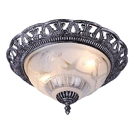 Потолочный светильник Arte Lamp Piatti A8001PL-2SB Image 3