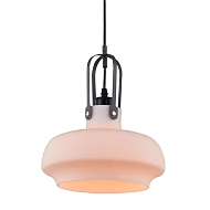 Подвесной светильник Arte Lamp Arno A3633SP-1WH Image 1