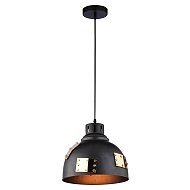 Подвесной светильник Arte Lamp Eurica A6024SP-1BK - купить онлайн в интернет-магазине Люстра-Тут (Санкт-Петербург) недорого