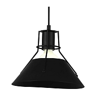 Подвесной светильник Arte Lamp A9347SP-1BK Image 2