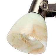 Спот Arte Lamp A9582AP-1AB Image 2