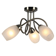 Потолочная люстра Arte Lamp Mutti A8616PL-3AB Image 3