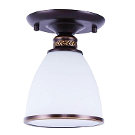 Потолочный светильник Arte Lamp Bonito A9518PL-1BA - купить онлайн в интернет-магазине Люстра-Тут (Санкт-Петербург) недорого
