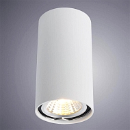 Потолочный светильник Arte Lamp A1516PL-1WH Image 1
