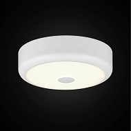 Потолочный светодиодный светильник Citilux Фостер-1 CL706110 Image 1