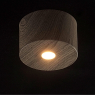 Потолочный светодиодный светильник De Markt Иланг 4 712010201 Image 3