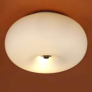 Потолочный светильник Eglo Optica 86811 Image 1