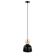 Подвесной светильник Eglo Bodmin 49692 - купить онлайн в интернет-магазине Люстра-Тут (Санкт-Петербург) недорого
