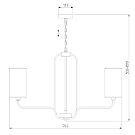 Подвесная люстра Eurosvet Purezza 60128/6 хром Image 1