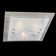 Потолочный светильник Eurosvet 2961/3 хром/серый Image 2