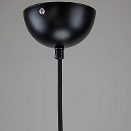 Подвесной светильник Favourite Suri 2688-1P Image 2