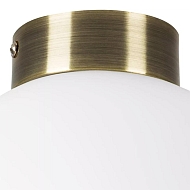 Настенно-потолочный светильник Lightstar Globo 812021 Image 2