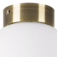 Настенно-потолочный светильник Lightstar Globo 812011 Image 1