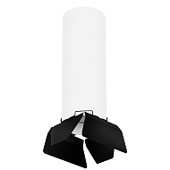Потолочный светильник Lightstar Rullo (216496+202487) R6496487 - купить онлайн в интернет-магазине Люстра-Тут (Санкт-Петербург) недорого