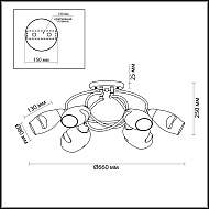 Потолочная люстра Lumion Orla 4483/6C Image 3