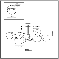 Потолочная люстра Lumion Comfi 5207/6C Image 1