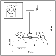 Потолочная люстра Lumion Fiona 3687/5C Image 3