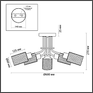 Потолочная люстра Lumion Fern 4492/5C Image 3