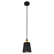Подвесной светильник Lussole Loft LSP-9861 - купить онлайн в интернет-магазине Люстра-Тут (Санкт-Петербург) недорого