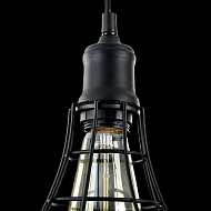 Подвесной светильник Maytoni Denver T449-PL-01-B Image 2