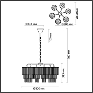 Подвесная люстра Odeon Light Papita 4921/6 Image 2