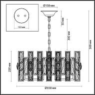 Подвесная люстра Odeon Light Diora 4121/10 Image 3