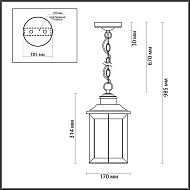 Уличный подвесной светильник Odeon Light Mavret 4961/1 Image 3